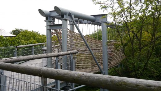 Hängebrücke - es schaukelt wie in den Wipfeln