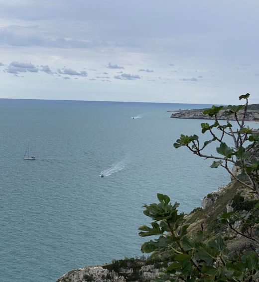 Das historische Zentrum liegt 90 Meter über dem Meer.